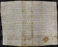 19 A.6.XXr, Privilegio di Lodovico II a favore della chiesa di Modena e di Ernido vescovo, Parma, [860-862, set. 19]